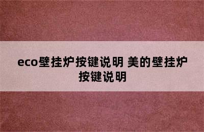 eco壁挂炉按键说明 美的壁挂炉按键说明